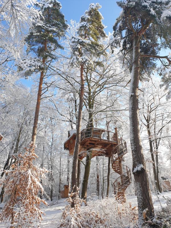 Preview photo for an amazing place. The image is connected to the given place.