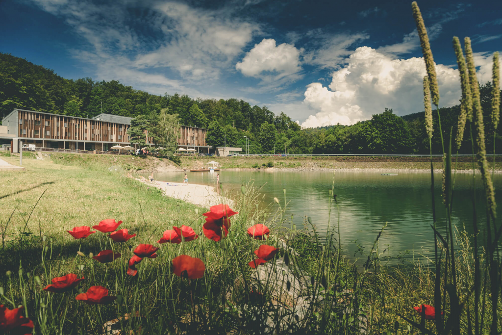 Preview photo for an amazing place. The image is connected to the given place.