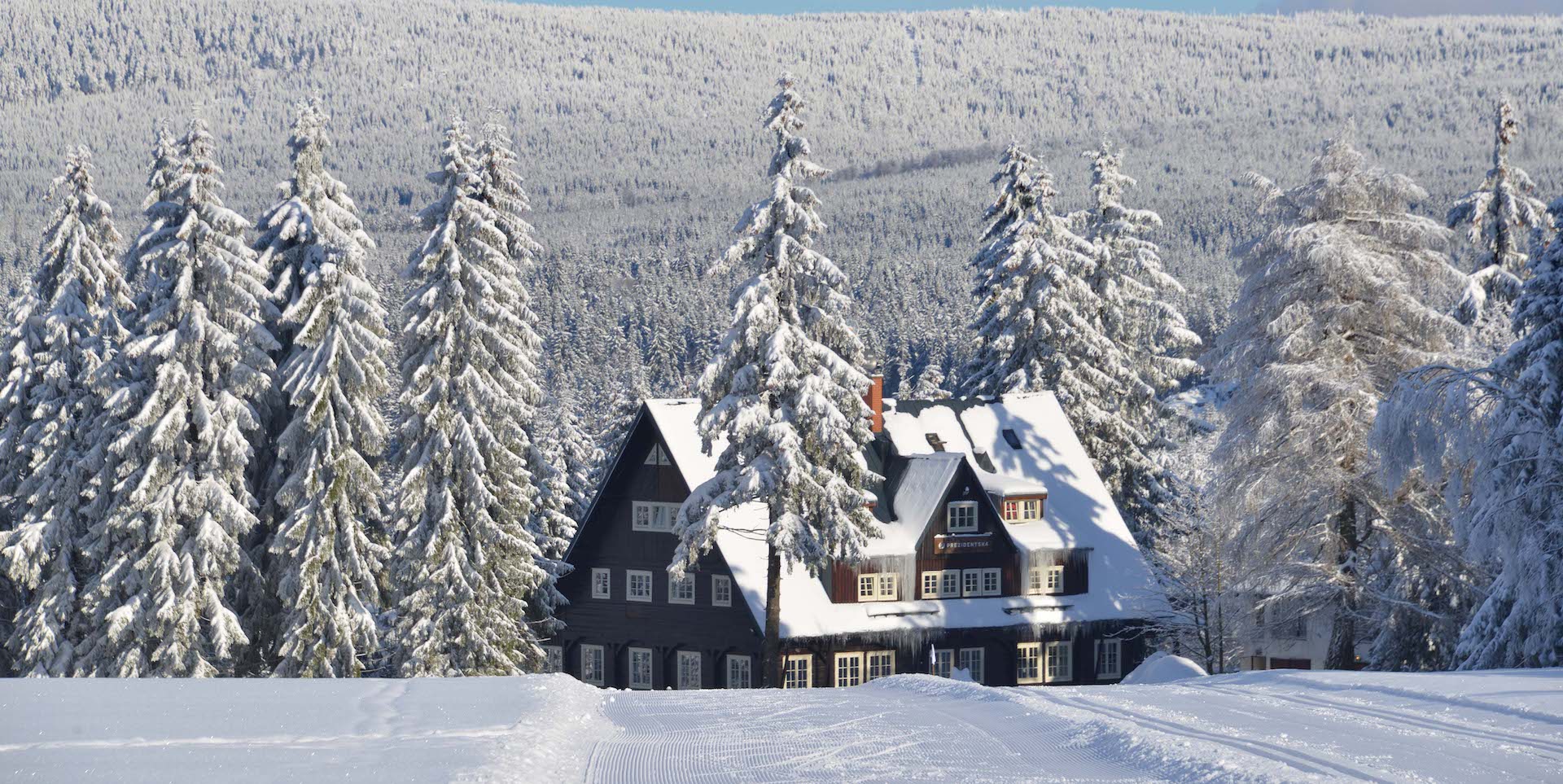 Preview photo in the page header. The image is part of the site structure and could be connected to the content.