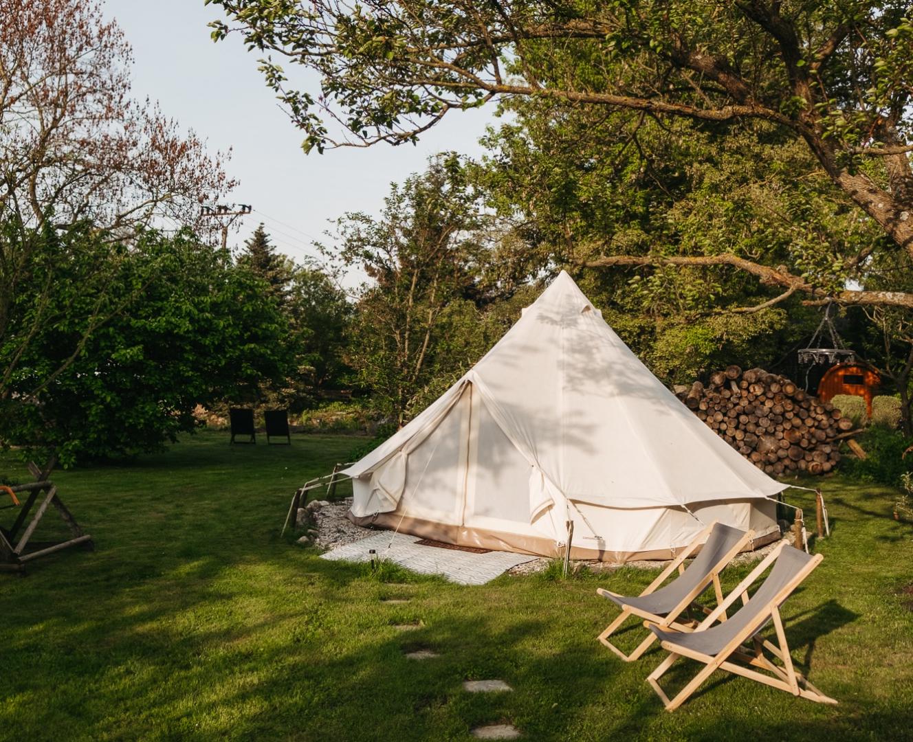 Preview photo in the page header. The image is part of the site structure and could be connected to the content.