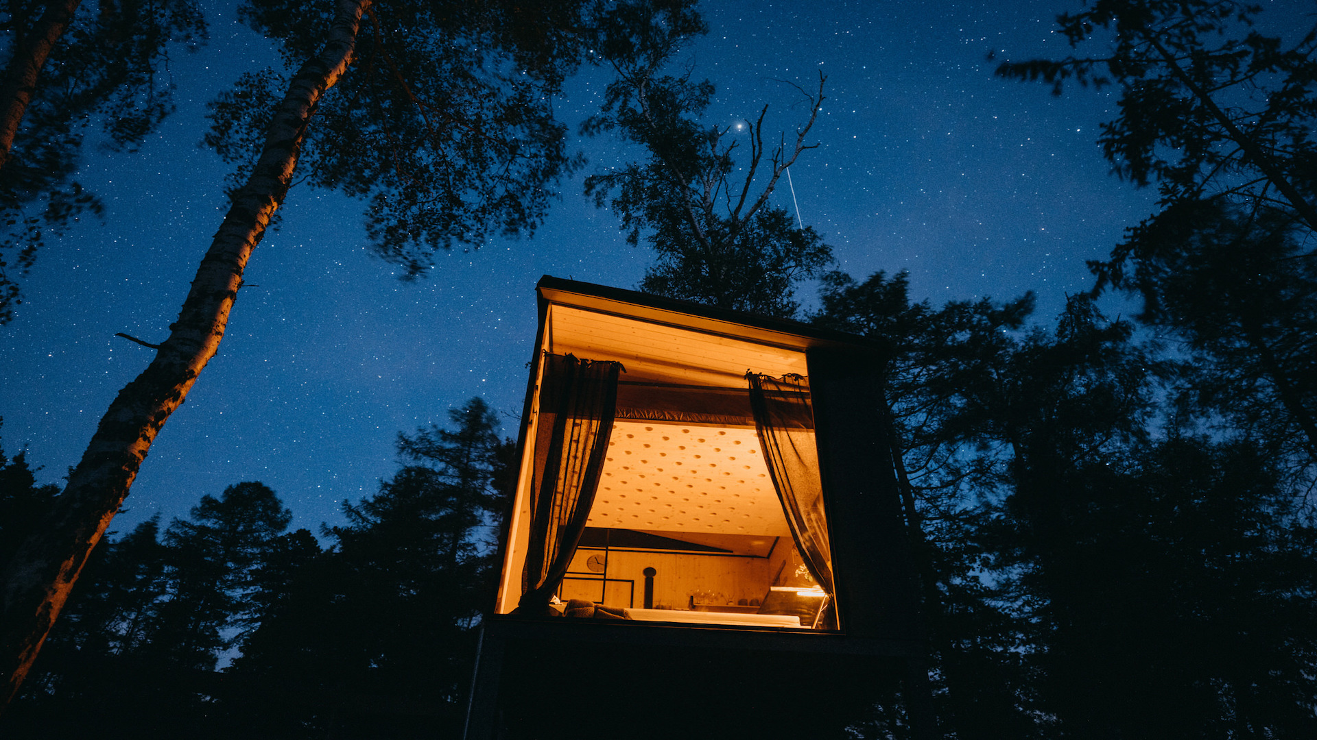 Preview photo in the page header. The image is part of the site structure and could be connected to the content.