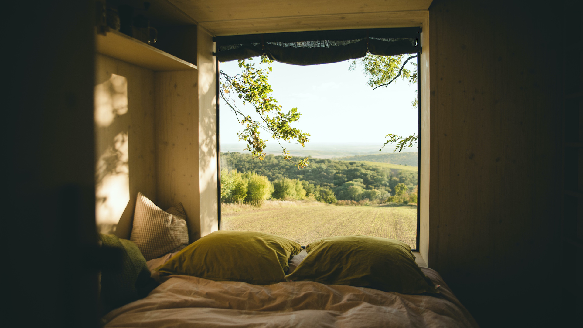 Preview photo in the page header. The image is part of the site structure and could be connected to the content.