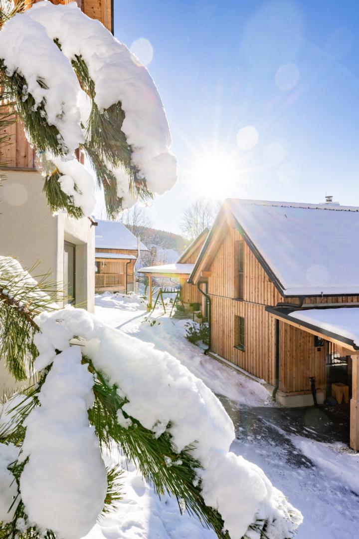 Preview photo in the page header. The image is part of the site structure and could be connected to the content.