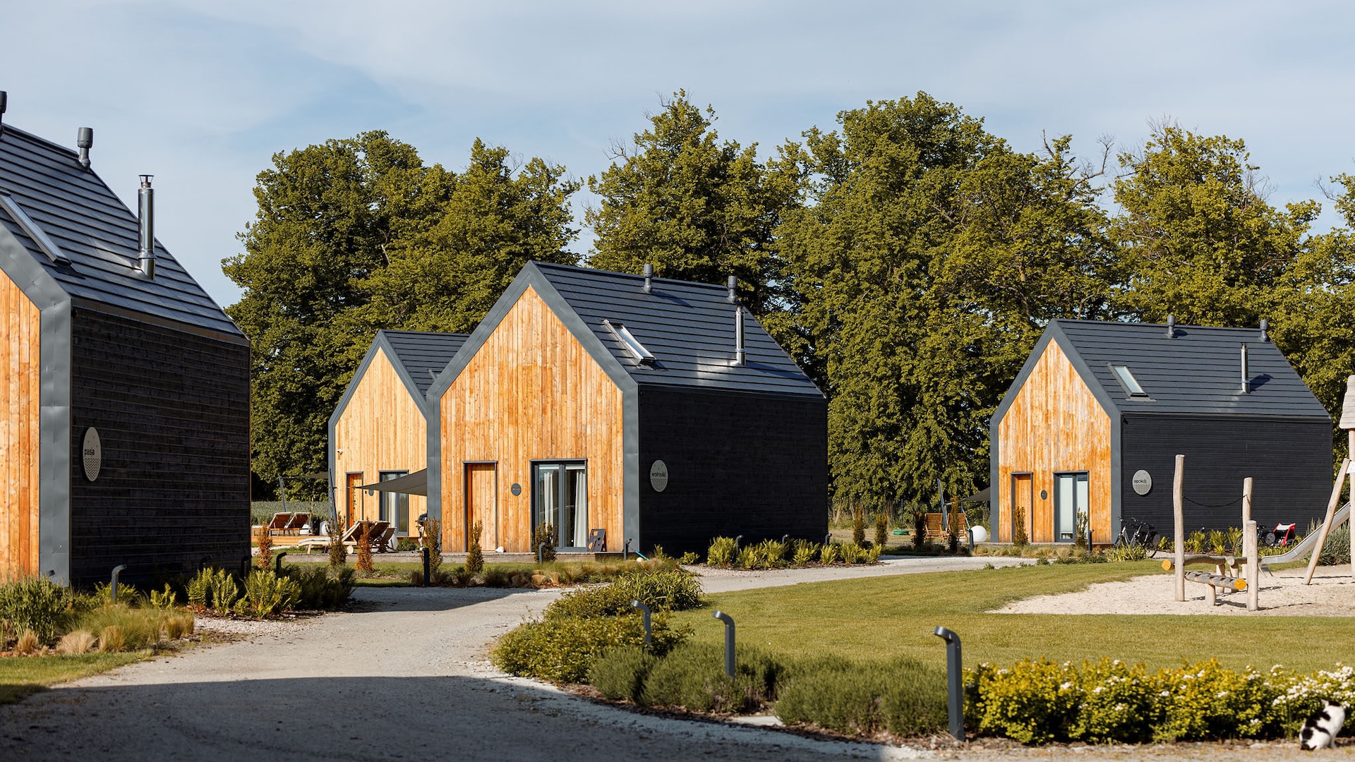 Náhledová fotografie v záhlaví stránky. Obrázek je součástí struktury webu a může se vázat k obsahu.