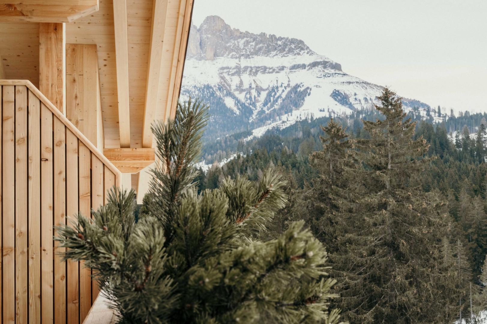 Preview photo in the page header. The image is part of the site structure and could be connected to the content.