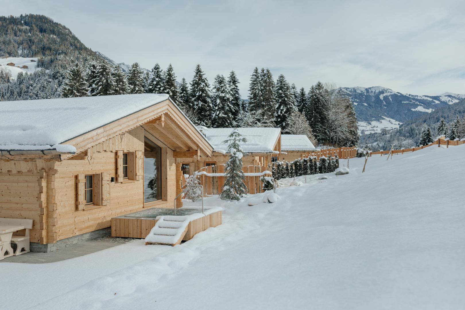 Preview photo in the page header. The image is part of the site structure and could be connected to the content.