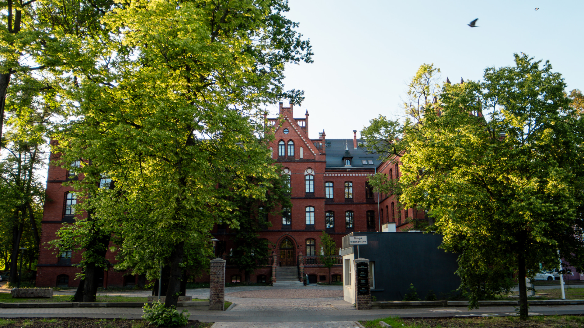 Preview photo in the page header. The image is part of the site structure and could be connected to the content.