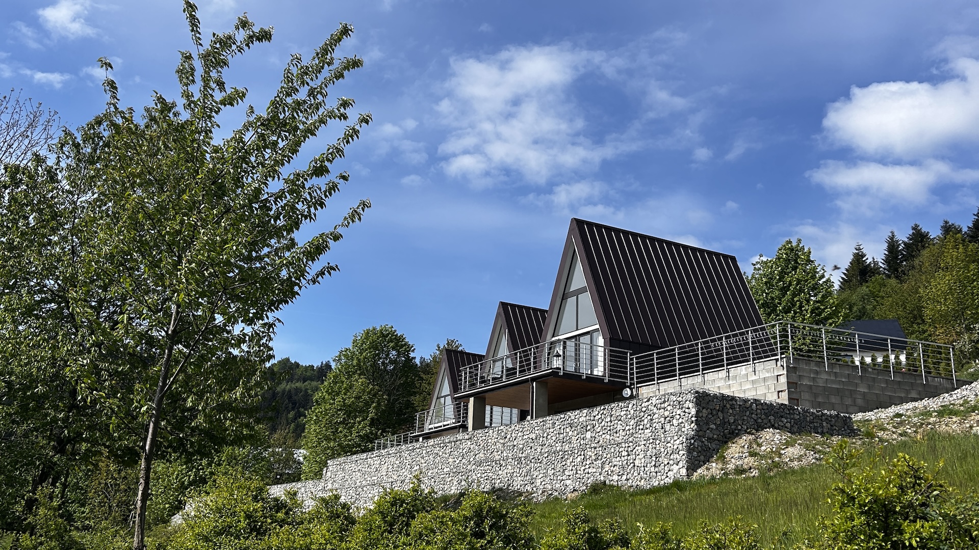 Preview photo in the page header. The image is part of the site structure and could be connected to the content.