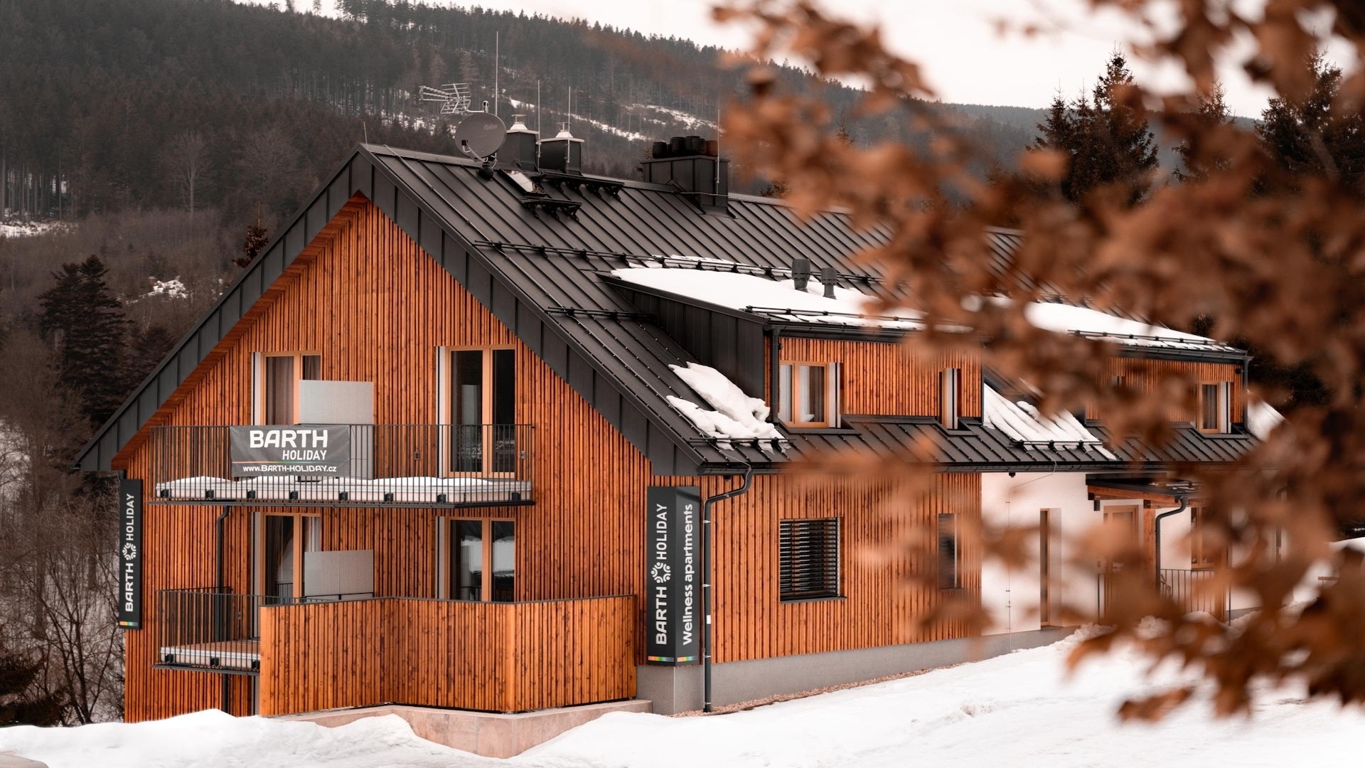 Preview photo in the page header. The image is part of the site structure and could be connected to the content.