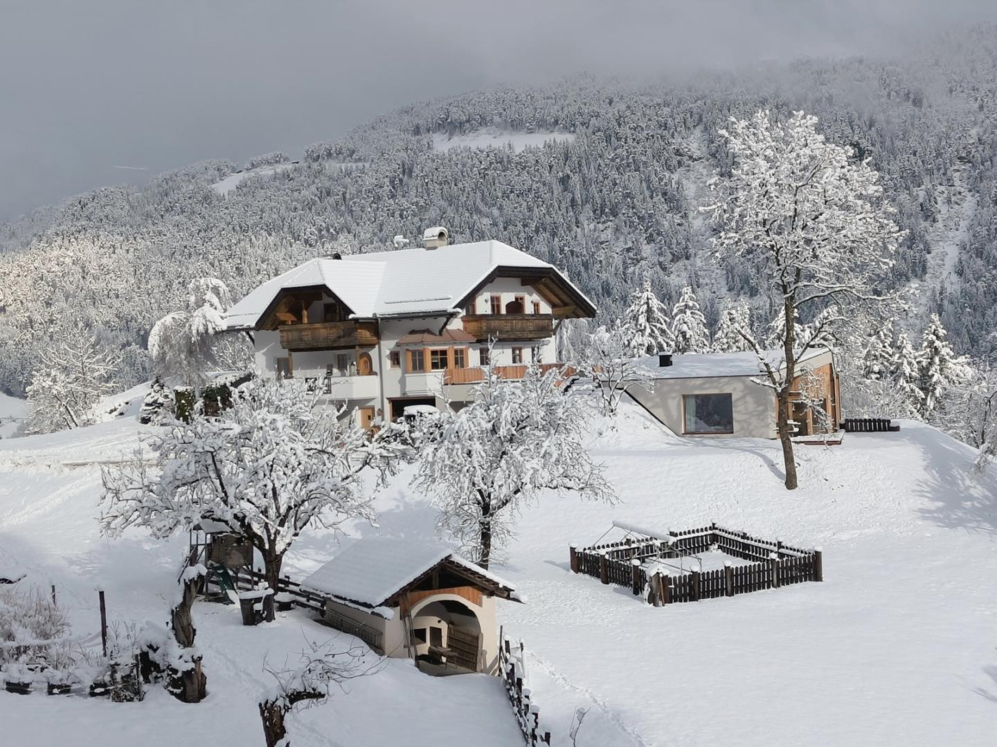 Preview photo in the page header. The image is part of the site structure and could be connected to the content.