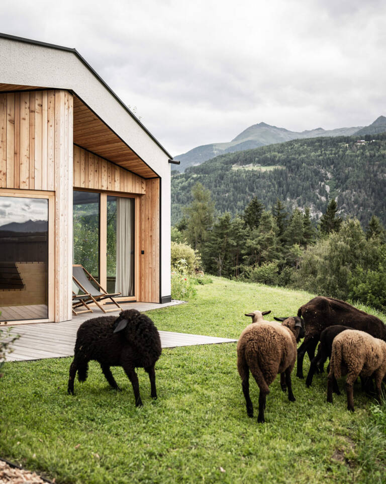 Preview photo in the page header. The image is part of the site structure and could be connected to the content.