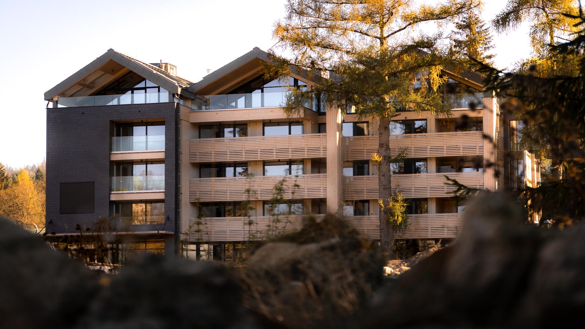 Náhledová fotografie v záhlaví stránky. Obrázek je součástí struktury webu a může se vázat k obsahu.