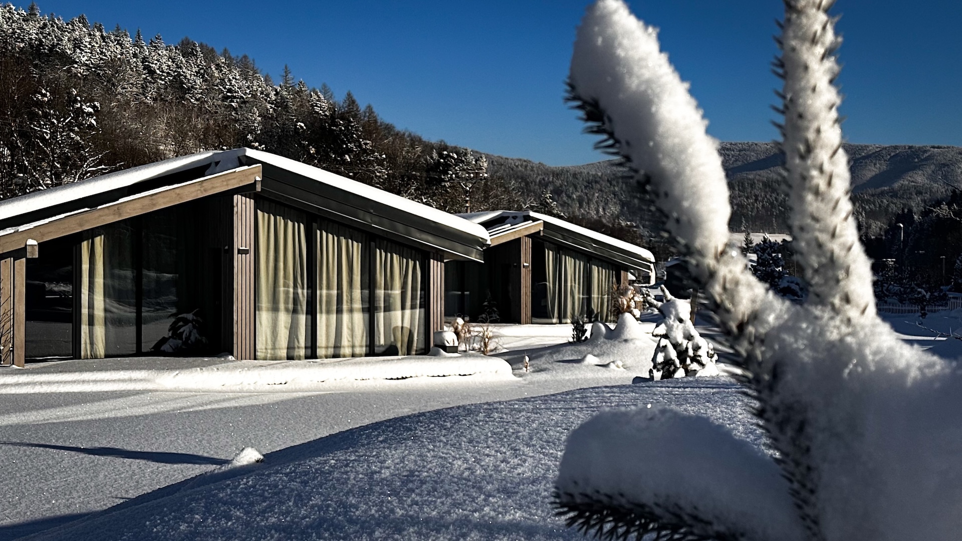 Preview photo in the page header. The image is part of the site structure and could be connected to the content.