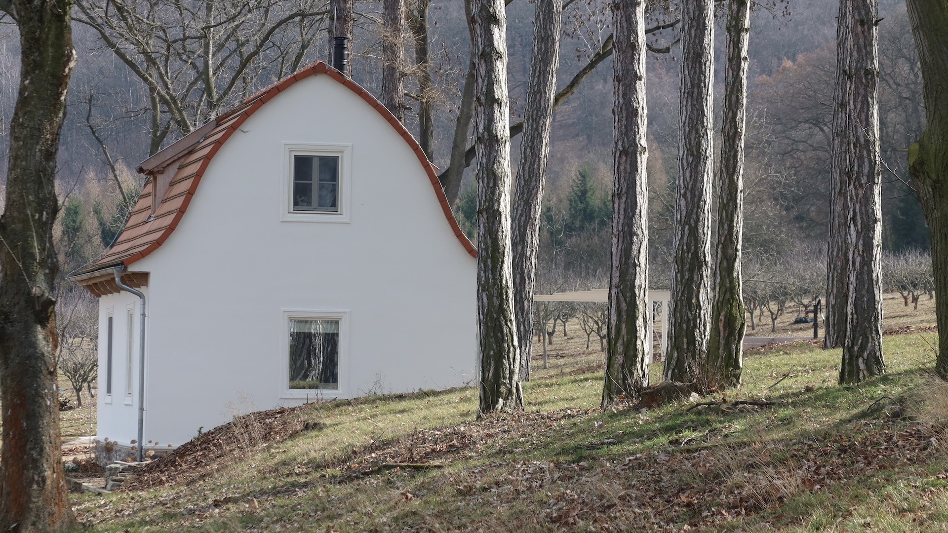 Preview photo in the page header. The image is part of the site structure and could be connected to the content.