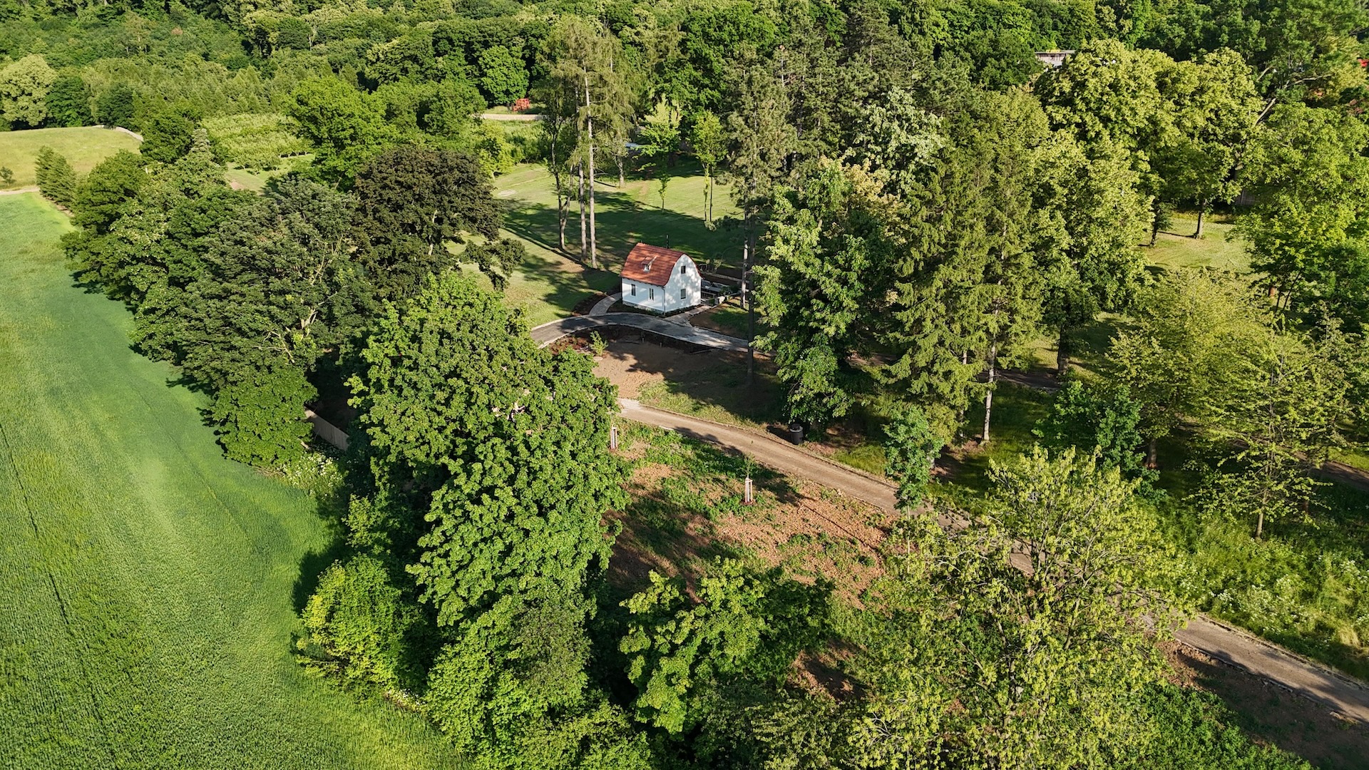 Preview photo in the page header. The image is part of the site structure and could be connected to the content.