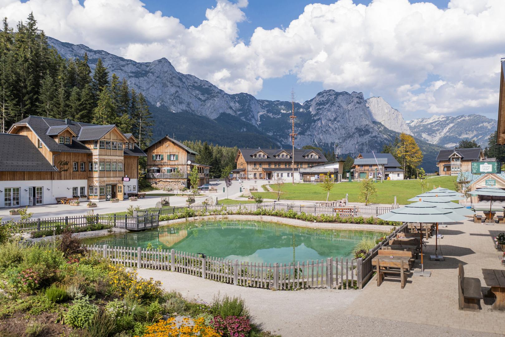 Preview photo in the page header. The image is part of the site structure and could be connected to the content.