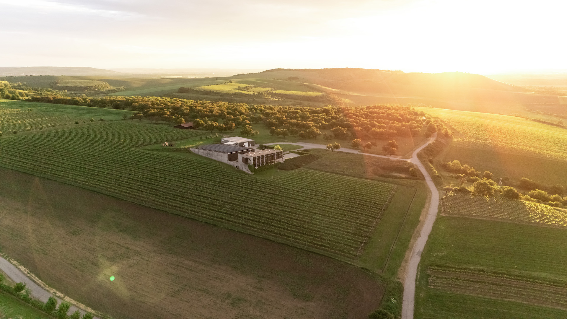 Náhledová fotografie v záhlaví stránky. Obrázek je součástí struktury webu a může se vázat k obsahu.