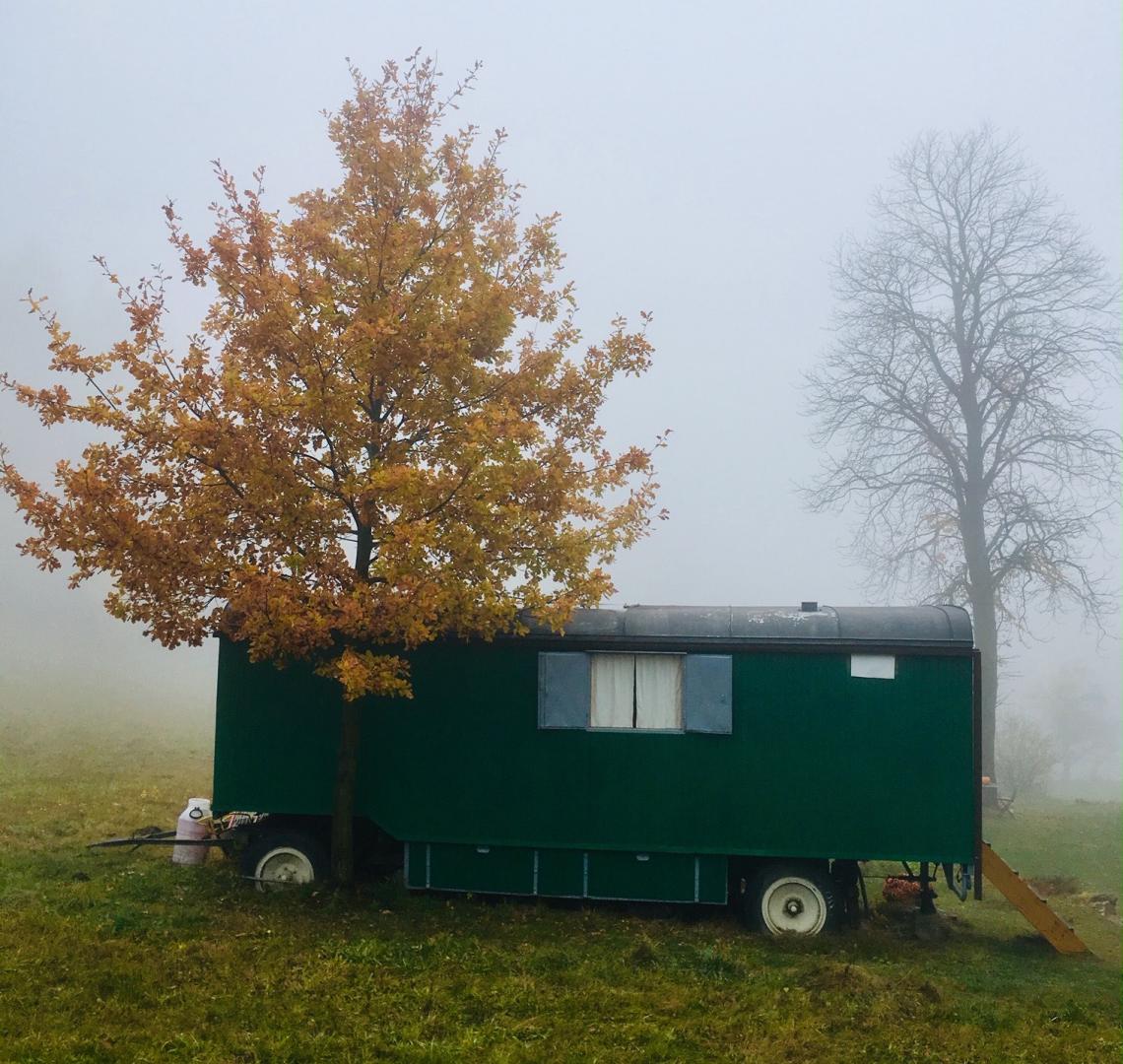 Náhledová fotografie v záhlaví stránky. Obrázek je součástí struktury webu a může se vázat k obsahu.