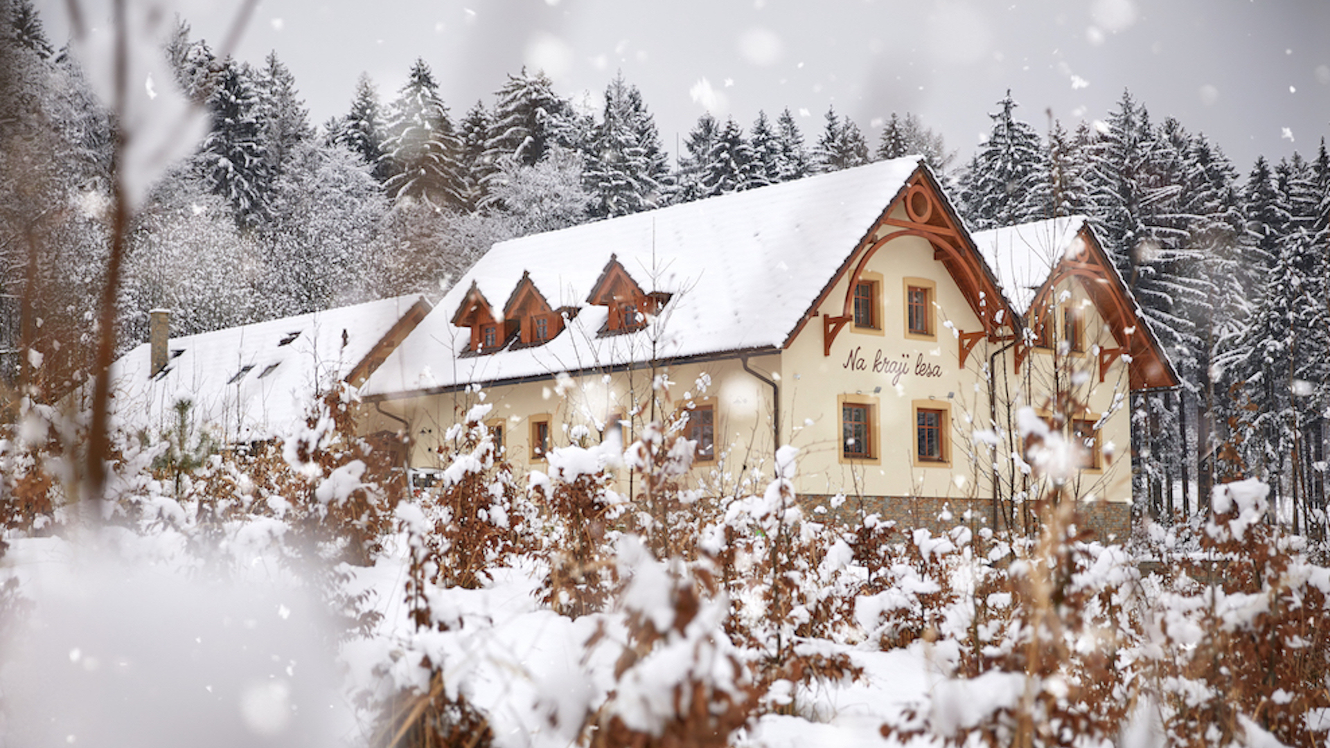 Náhledová fotografie v záhlaví stránky. Obrázek je součástí struktury webu a může se vázat k obsahu.