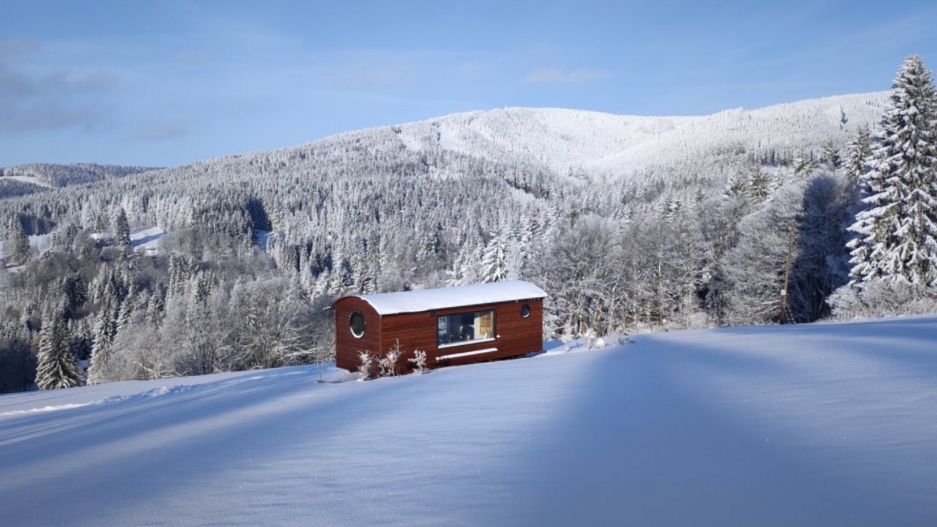 Preview photo in the page header. The image is part of the site structure and could be connected to the content.