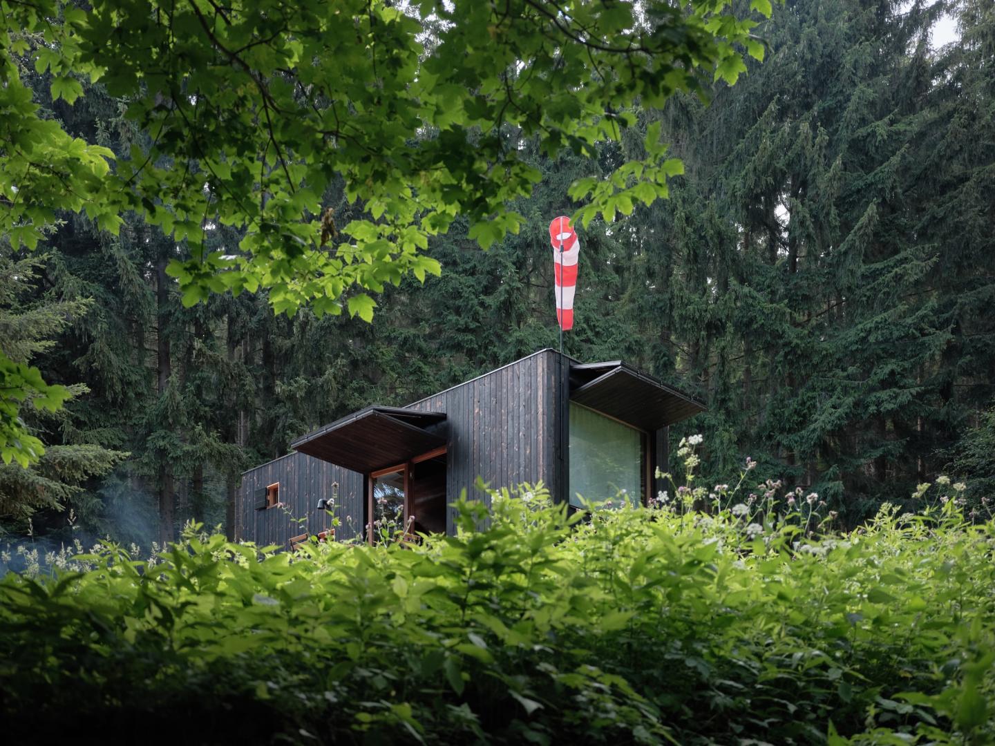 Preview photo in the page header. The image is part of the site structure and could be connected to the content.