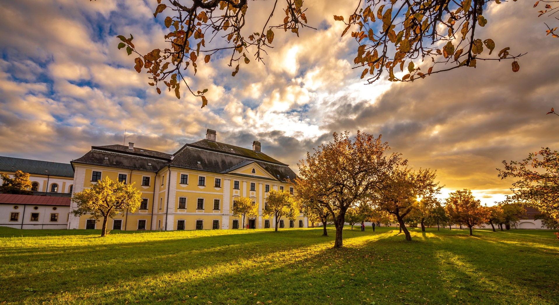 Preview photo in the page header. The image is part of the site structure and could be connected to the content.