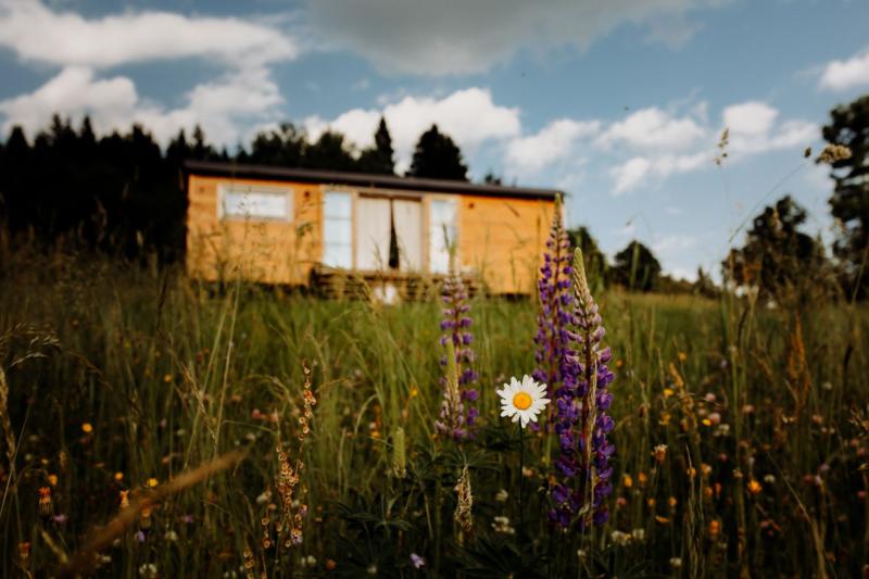 Preview photo for a room. The image is connected to the amazing place.